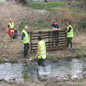 FEB-2011-ecosistemas-fluviales.png