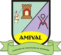 Asociación de Discapacitados de Valdemoro AMIVAL