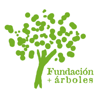 Fundación + árboles 